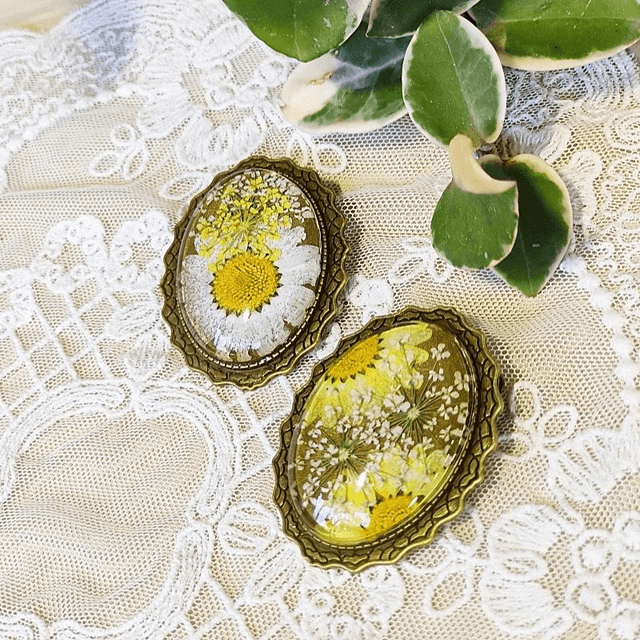 Daisy Broach